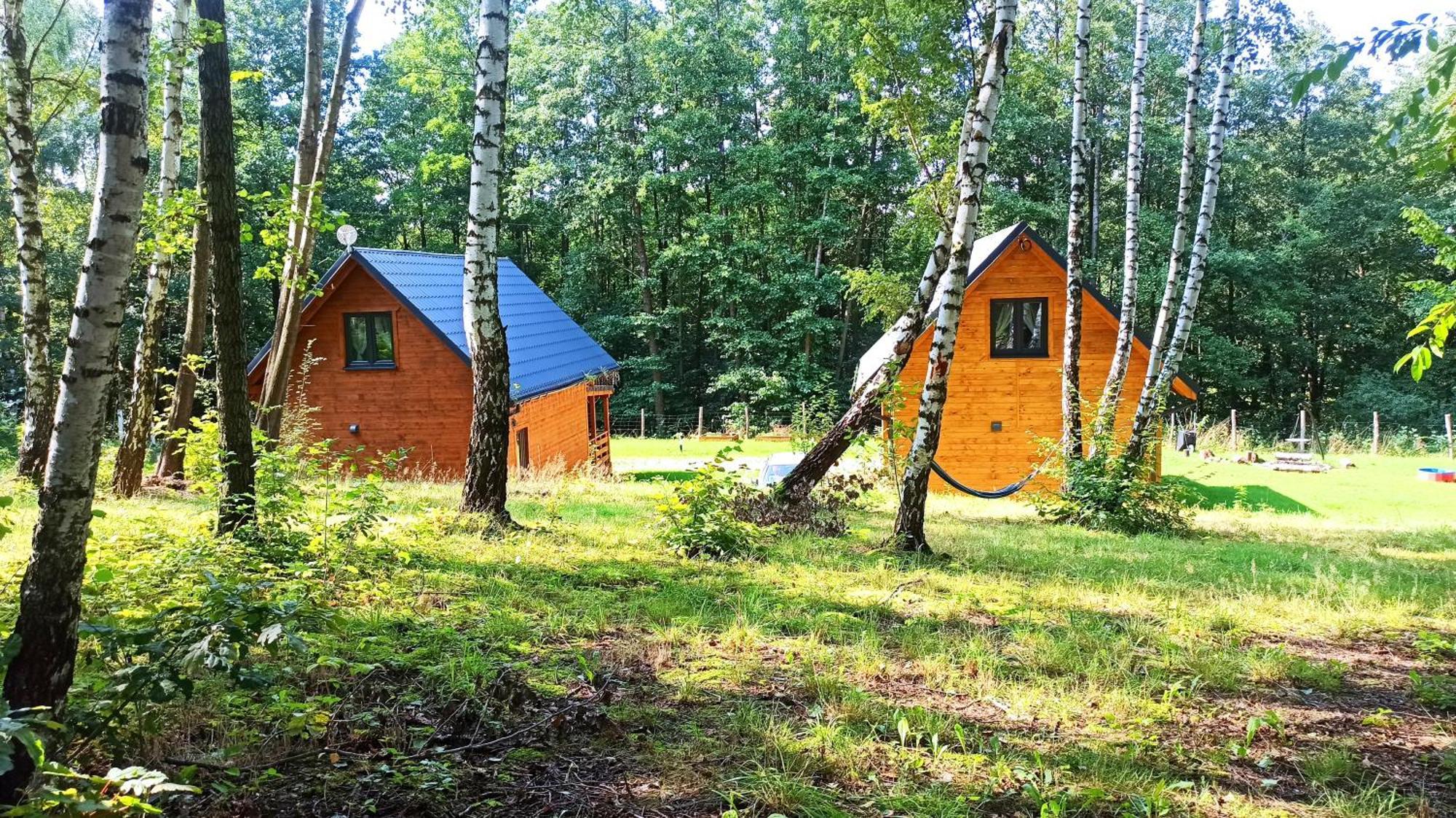 Holiday home Lorien - Wynajem Domkow Letniskowych