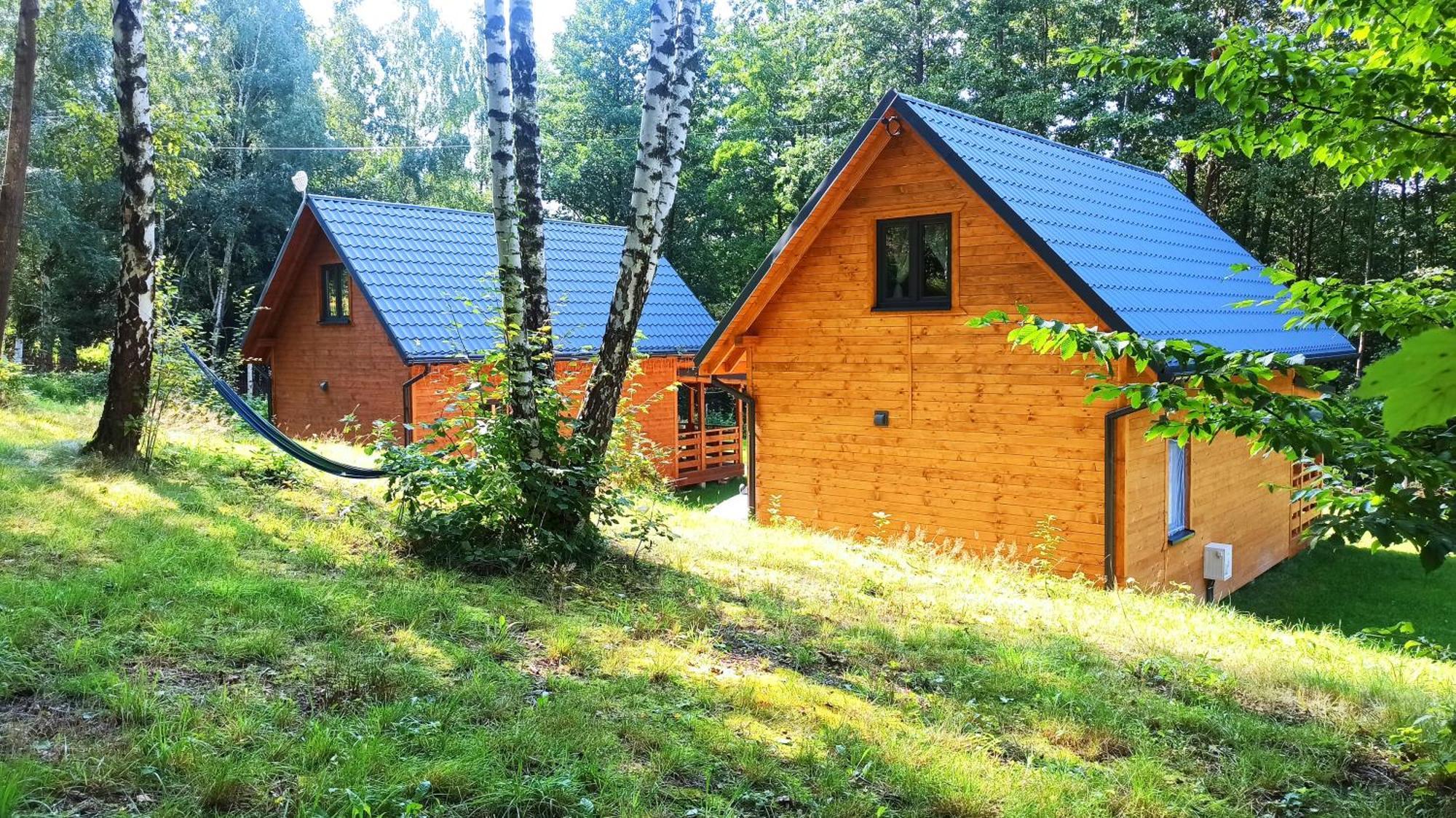 Lorien - Wynajem Domkow Letniskowych Holiday home *