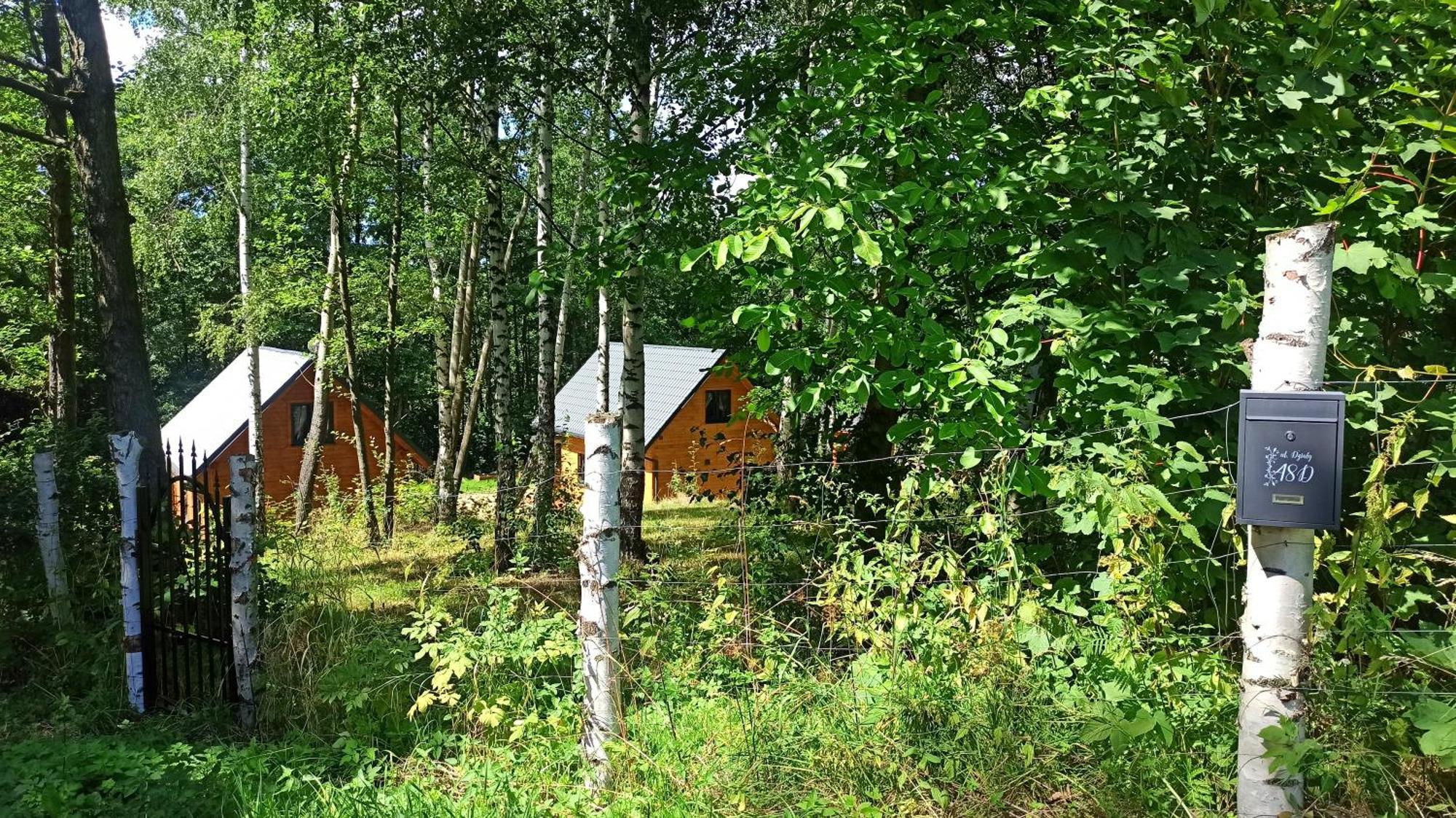 Lorien - Wynajem Domkow Letniskowych Holiday home *