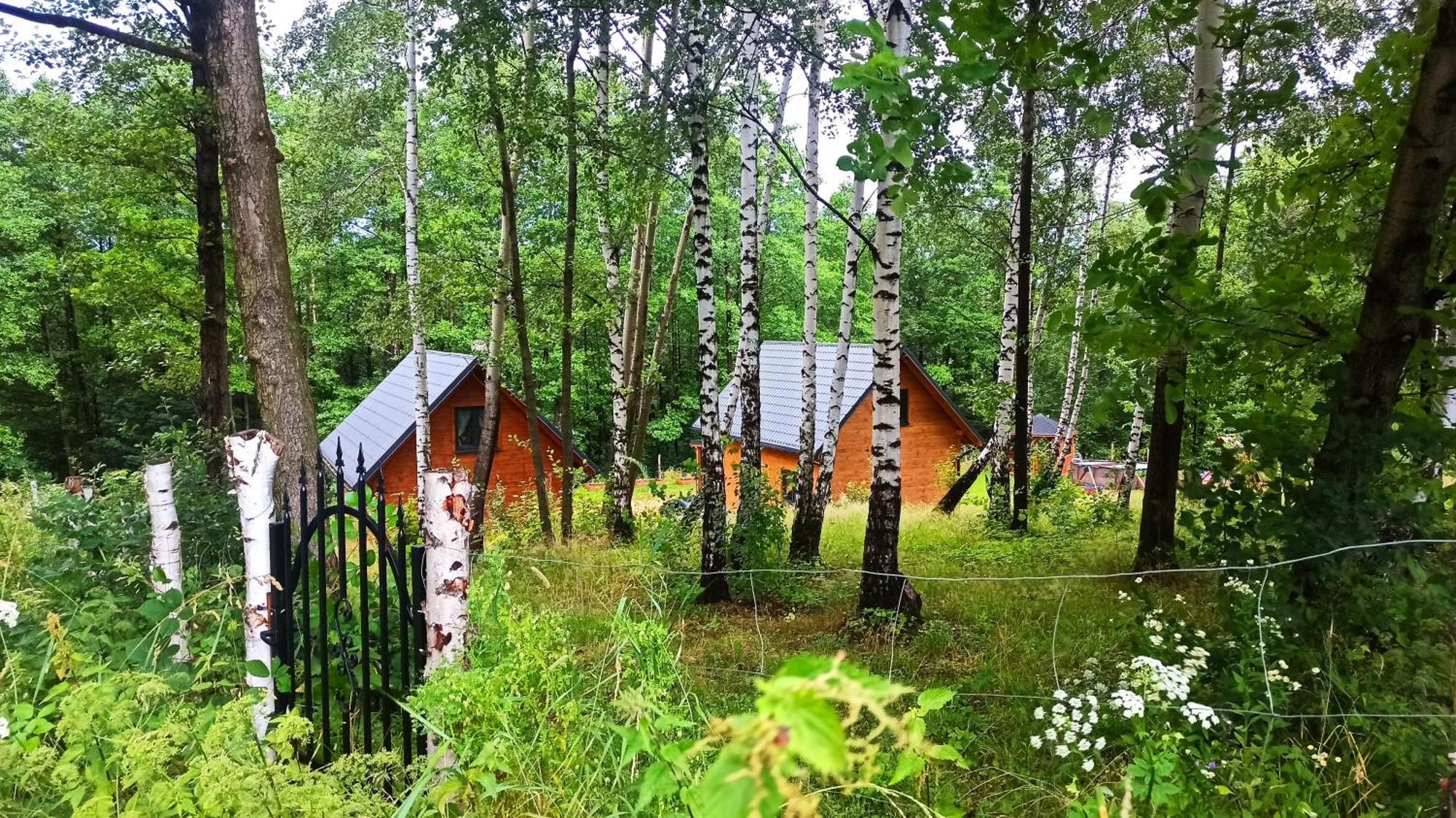 Lorien - Wynajem Domkow Letniskowych *