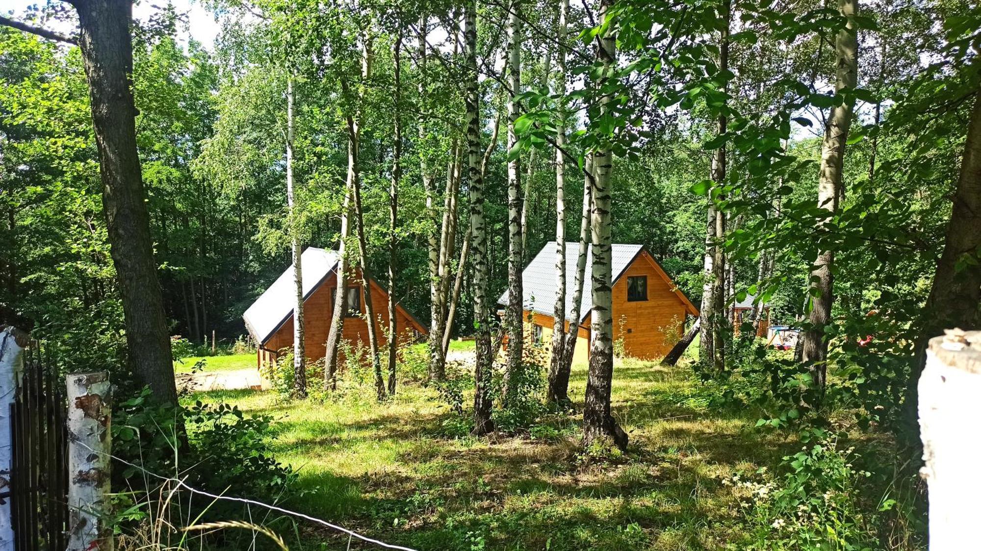 Lorien - Wynajem Domkow Letniskowych *