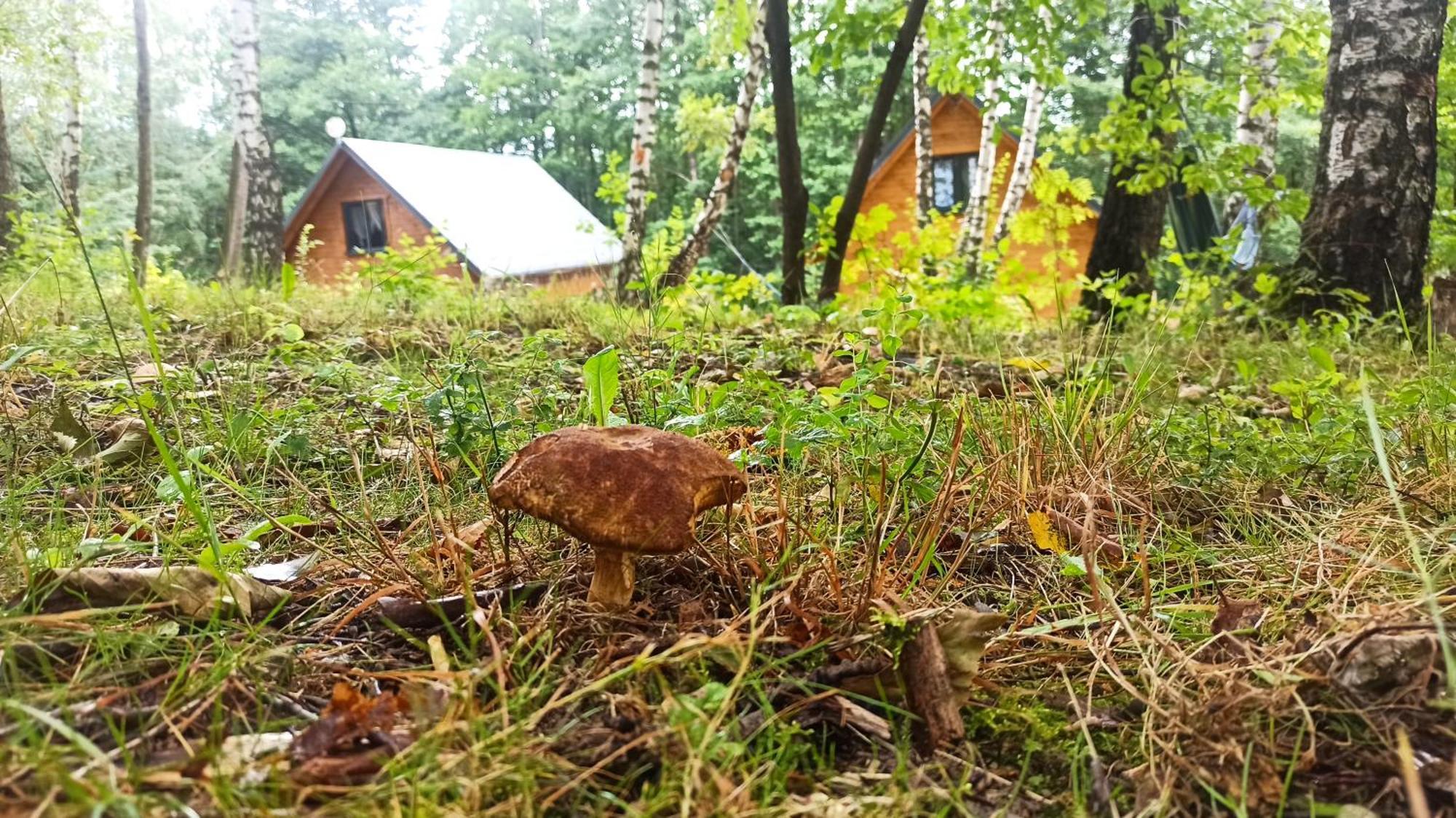 Lorien - Wynajem Domkow Letniskowych Holiday home