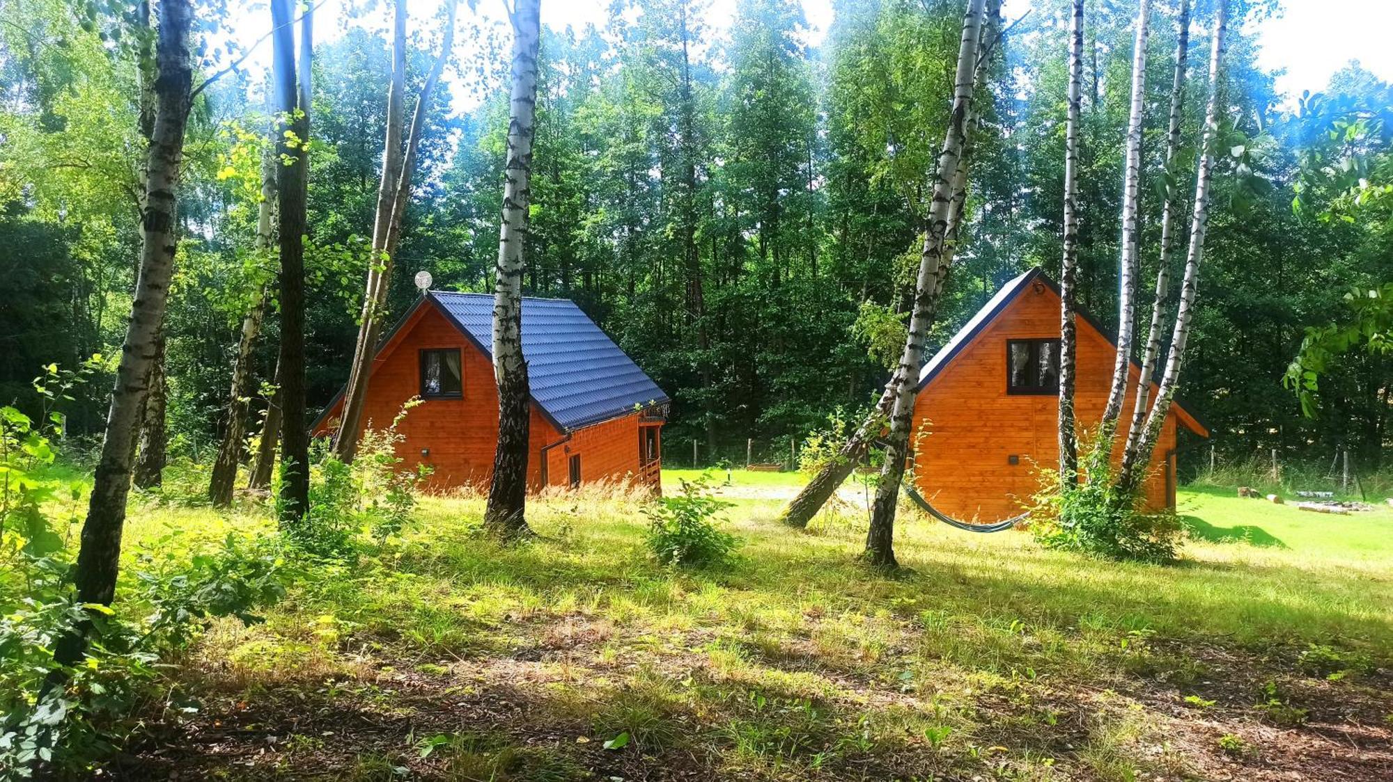 Holiday home Lorien - Wynajem Domkow Letniskowych