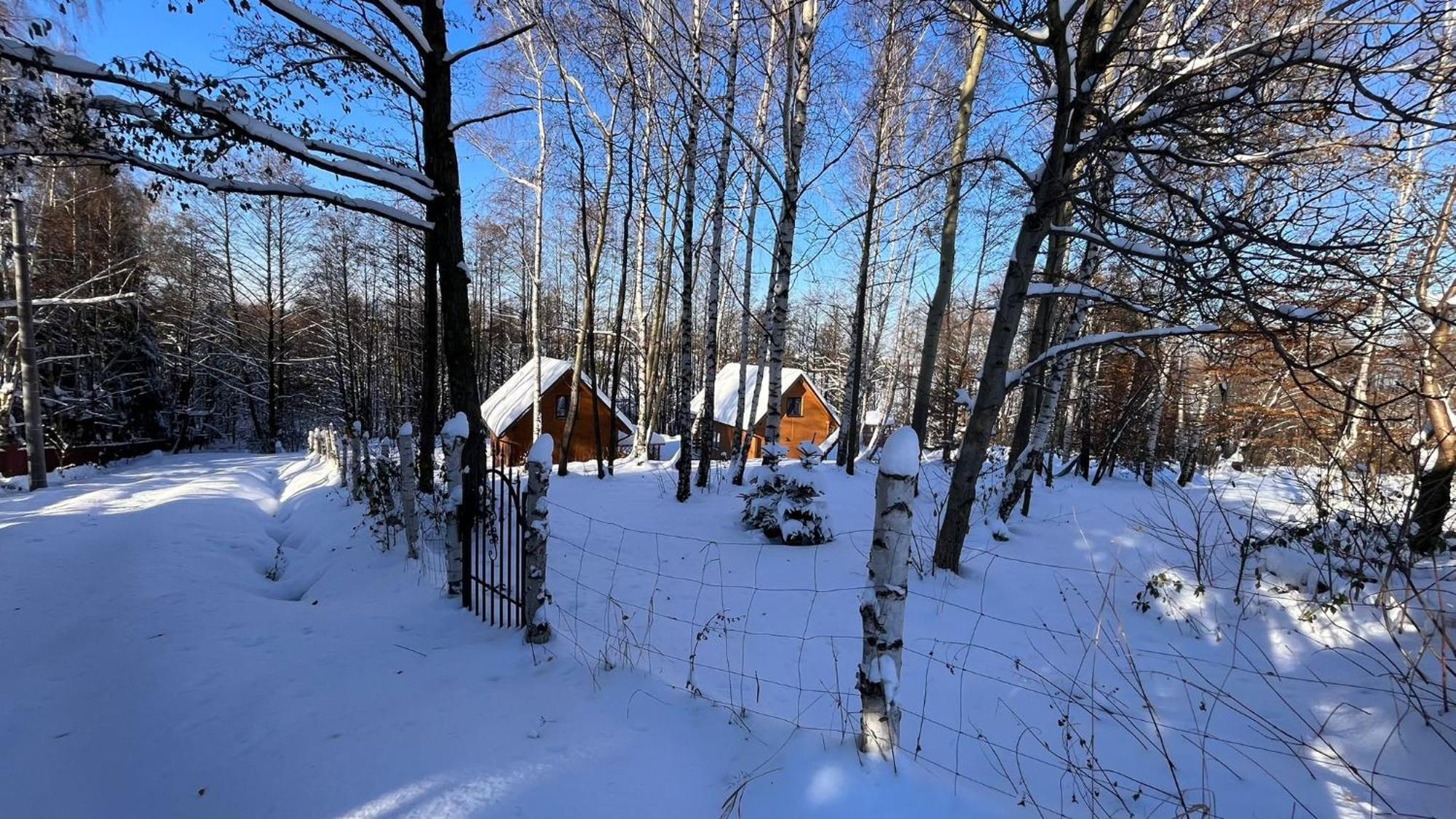 Holiday home Lorien - Wynajem Domkow Letniskowych *