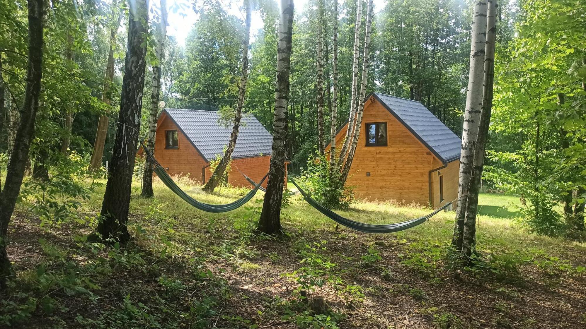 Holiday home Lorien - Wynajem Domkow Letniskowych Roczyny